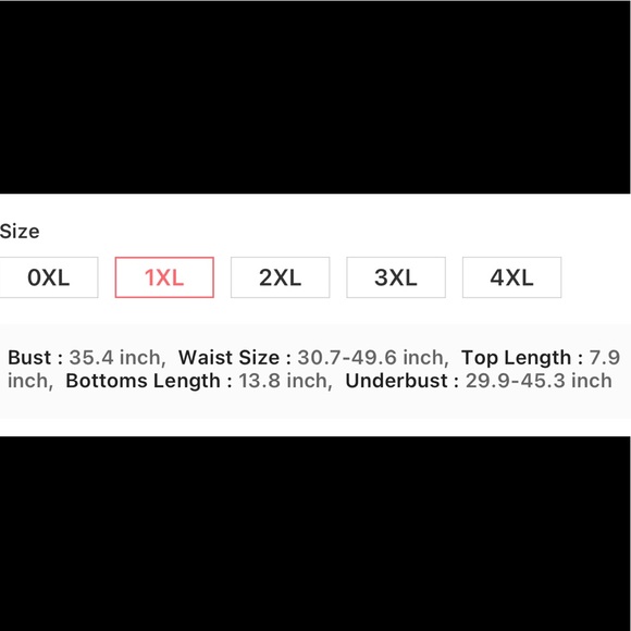 Fringe Animal leopard Plus Size 1X 2X Bikini Set - Picture 4 of 5